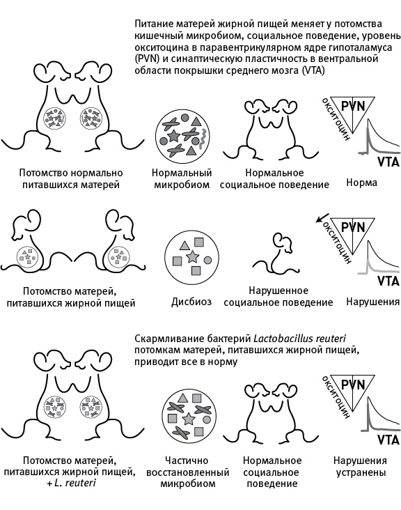 Иллюстрация к книге — Перспективы отбора [i_082.jpg]