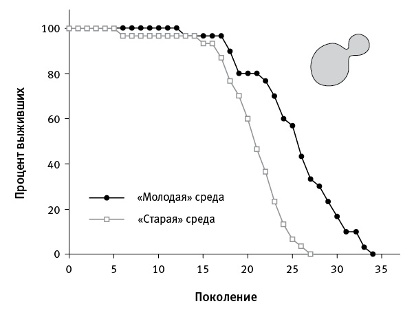 Иллюстрация к книге — Перспективы отбора [i_086.jpg]