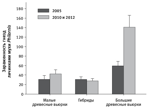 Иллюстрация к книге — Перспективы отбора [i_106.jpg]