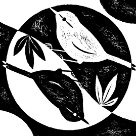 Иллюстрация к книге — Перспективы отбора [i_107.jpg]