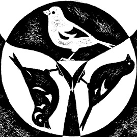 Иллюстрация к книге — Перспективы отбора [i_109.jpg]