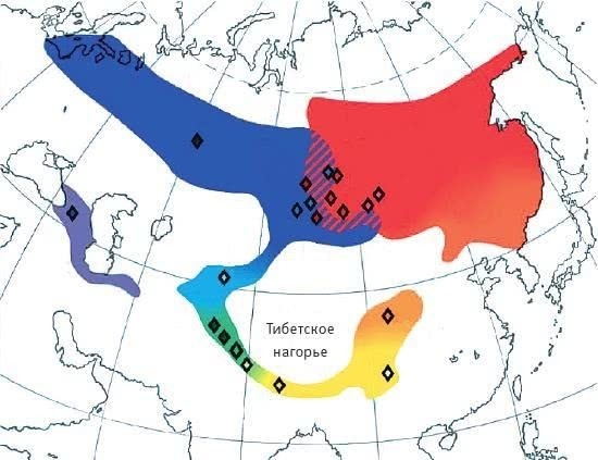 Иллюстрация к книге — Перспективы отбора [i_148.jpg]