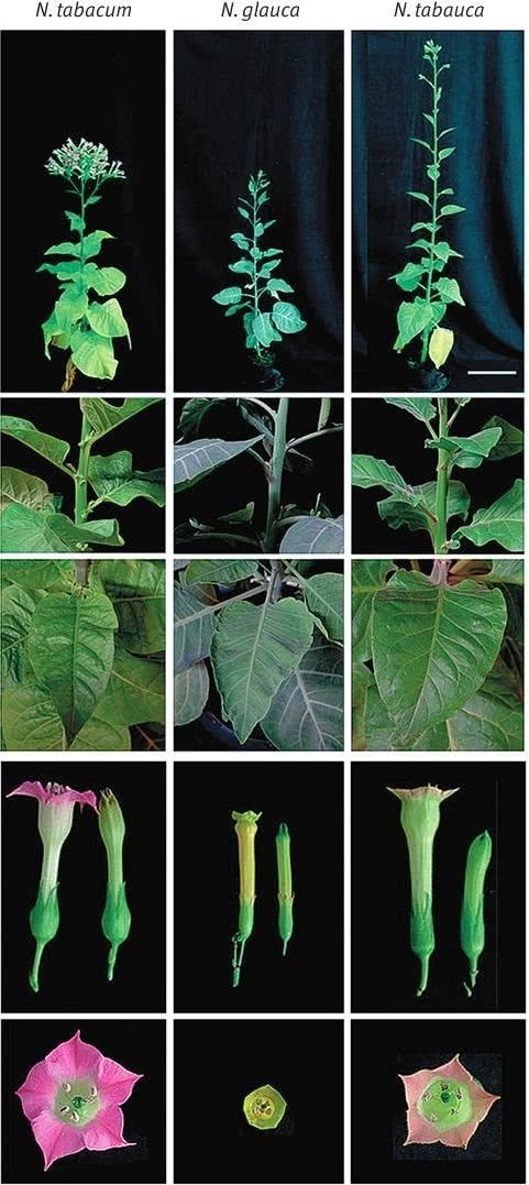 Иллюстрация к книге — Перспективы отбора [i_150.jpg]