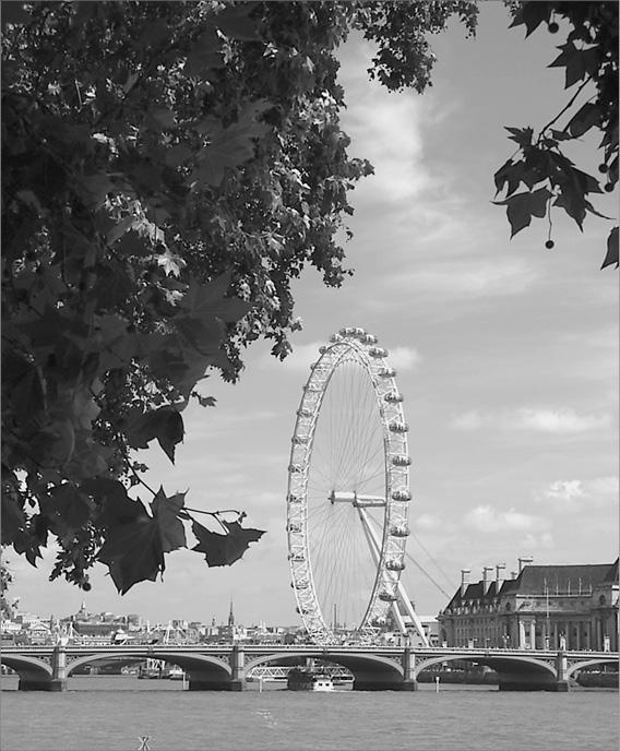 Иллюстрация к книге — Великобритания. Страна замков, дворцов и парков  [ch116.jpg]