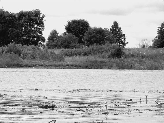 Иллюстрация к книге — Костромская земля. Природа. История. Экономика. Культура. Достопримечательности. Религиозные центры [_008.jpg]