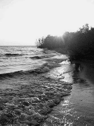 Иллюстрация к книге — Путешествие из Москвы в Ярославль. Москва – Сергиев Посад – Переславль-Залесский – Ростов Великий – Ярославль [_134.jpg]