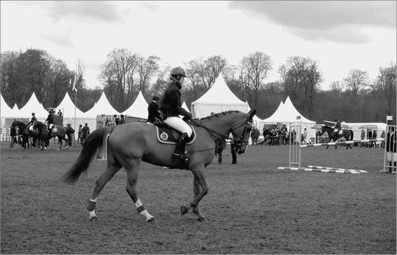 Иллюстрация к книге — Франция. Страна королей и пяти республик  [_085.jpg]