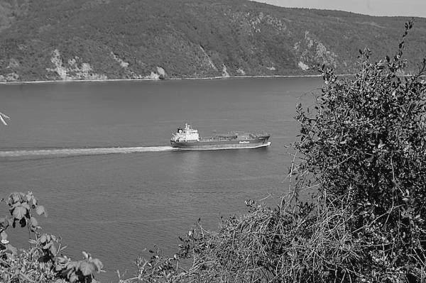 Иллюстрация к книге — Стамбул. Новый Вавилон на берегах Босфора  [_15.jpg]