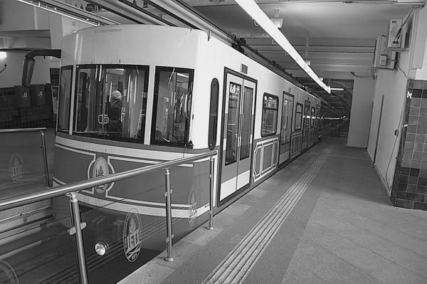 Иллюстрация к книге — Стамбул. Новый Вавилон на берегах Босфора  [_71.jpg]