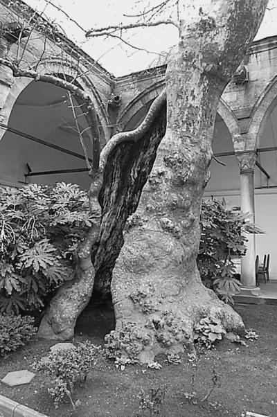 Иллюстрация к книге — Стамбул. Новый Вавилон на берегах Босфора  [_95.jpg]