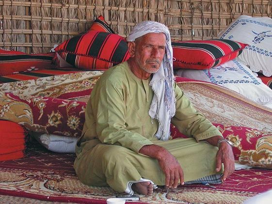 Иллюстрация к книге — Дубай. Волшебный сон, ставший явью [d_018.jpg]