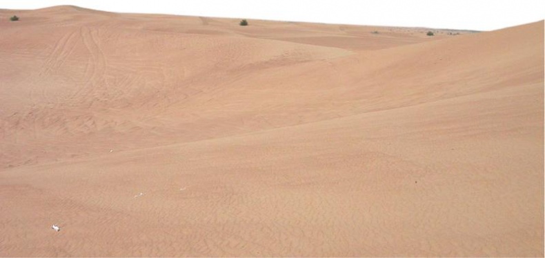 Иллюстрация к книге — Дубай. Волшебный сон, ставший явью [d_053.jpg]