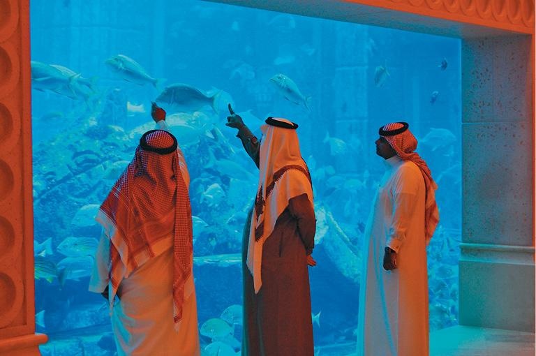 Иллюстрация к книге — Дубай. Волшебный сон, ставший явью [d_067.jpg]