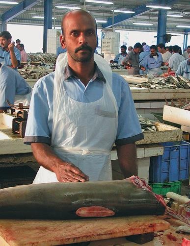 Иллюстрация к книге — Дубай. Волшебный сон, ставший явью [d_075.jpg]