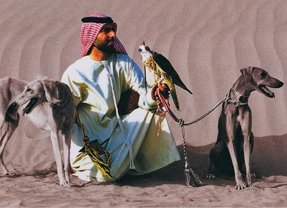 Иллюстрация к книге — Дубай. Волшебный сон, ставший явью [d_098.jpg]