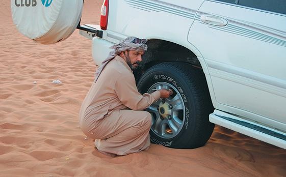 Иллюстрация к книге — Дубай. Волшебный сон, ставший явью [d_128.jpg]