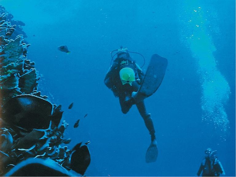 Иллюстрация к книге — Дубай. Волшебный сон, ставший явью [d_131.jpg]