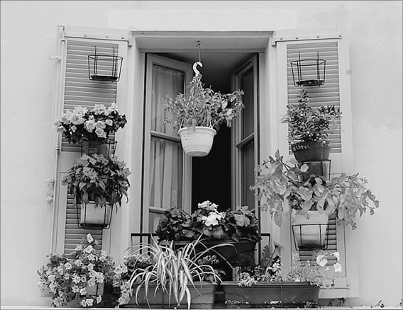 Иллюстрация к книге — Лазурный берег. Ривьеры Франции, Монако и Италии  [_030.jpg]