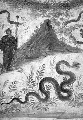 Иллюстрация к книге — Неаполитанская Ривьера. Неаполь. Капри. Искья. Прочида  [_055.jpg]