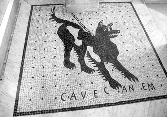 Иллюстрация к книге — Неаполитанская Ривьера. Неаполь. Капри. Искья. Прочида  [_058.jpg]