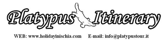 Иллюстрация к книге — Неаполитанская Ривьера. Неаполь. Капри. Искья. Прочида  [untitled1.jpg]