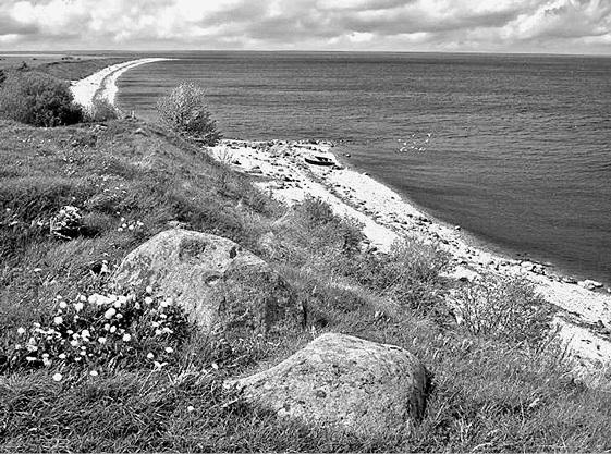 Иллюстрация к книге — Новгородская земля. Природа. Люди. История. Хозяйство [_004.jpg]