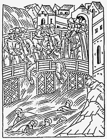 Иллюстрация к книге — Новгородская земля. Природа. Люди. История. Хозяйство [_029.jpg]