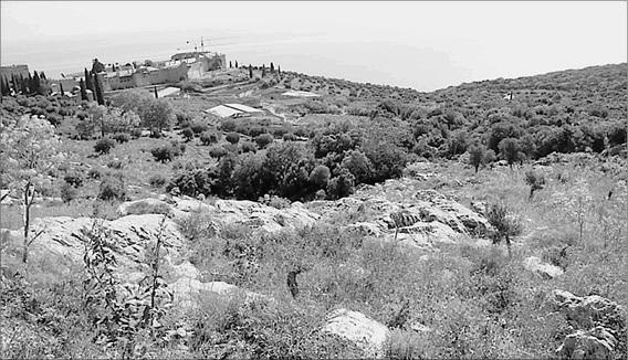 Иллюстрация к книге — Святой Афон. Удел Богородицы  [_022.jpg]