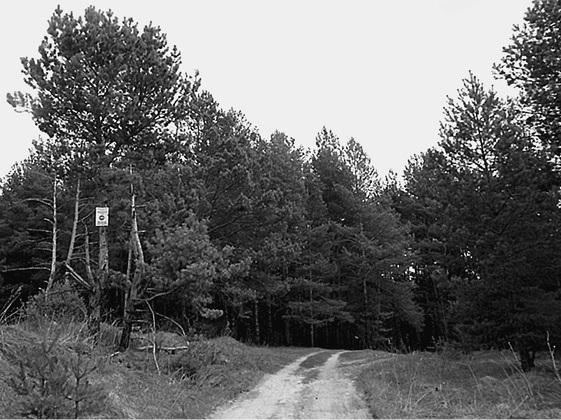 Иллюстрация к книге — Путешествие из Москвы в Калугу  [_018.jpg]