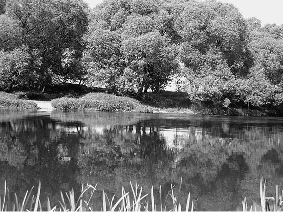 Иллюстрация к книге — Путешествие из Москвы в Калугу  [_034.jpg]