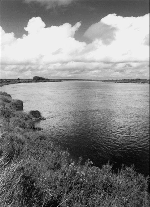 Иллюстрация к книге — Усадьбы Подмосковья. История. Владельцы. Жители. Архитектура  [_076.jpg]