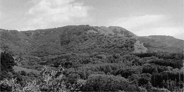 Иллюстрация к книге — Кавказские минеральные воды  [_076.jpg]