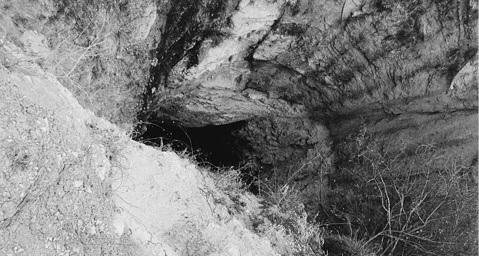 Иллюстрация к книге — Кавказские минеральные воды  [_104.jpg]