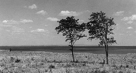 Иллюстрация к книге — Краснодарский край. Путешествие за здоровьем [_23.jpg]