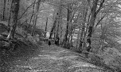 Иллюстрация к книге — Краснодарский край. Путешествие за здоровьем [_54.jpg]