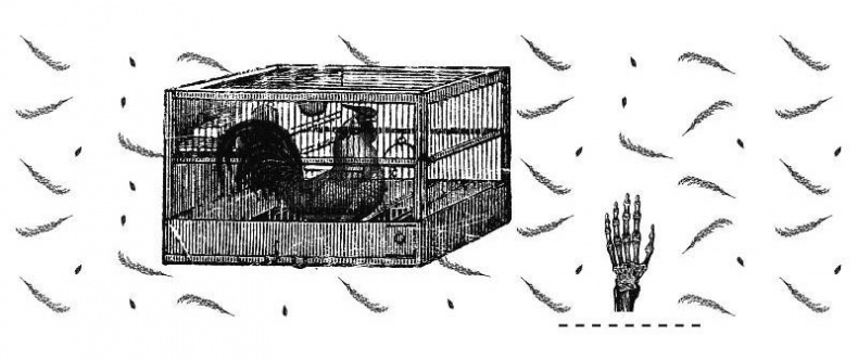 Иллюстрация к книге — #КИЕВВКИЕВЕ [i_035.jpg]