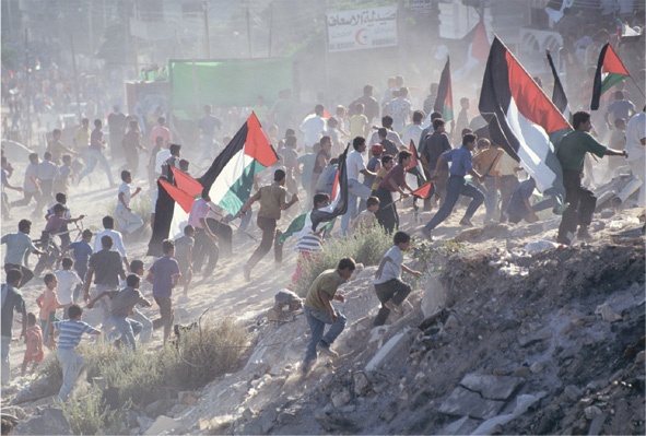 Иллюстрация к книге — Арабы. История. XVI–XXI вв. [i_056.jpg]