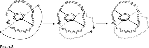 Иллюстрация к книге — Карнавал молекул [i_008.jpg]