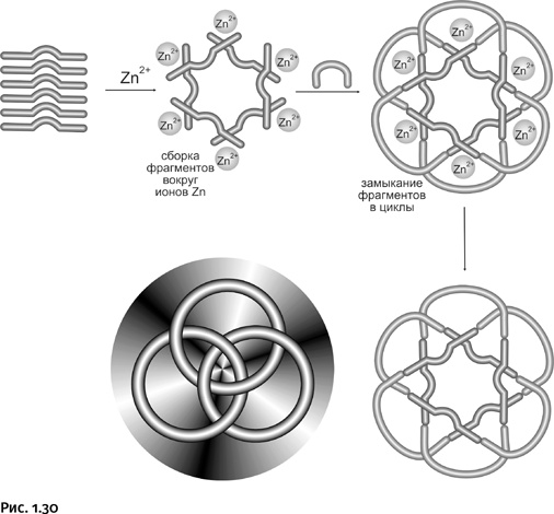 Иллюстрация к книге — Карнавал молекул [i_030.jpg]