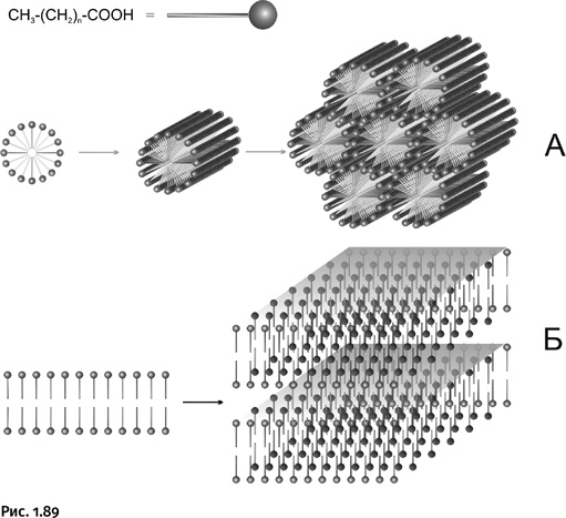 Иллюстрация к книге — Карнавал молекул [i_081.jpg]