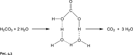Иллюстрация к книге — Карнавал молекул [i_196.jpg]