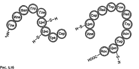 Иллюстрация к книге — Карнавал молекул [i_242.jpg]