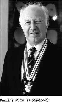 Иллюстрация к книге — Карнавал молекул [i_244.jpg]