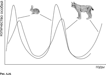 Иллюстрация к книге — Карнавал молекул [i_250.jpg]