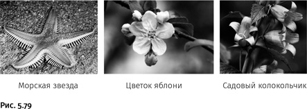 Иллюстрация к книге — Карнавал молекул [i_292.jpg]