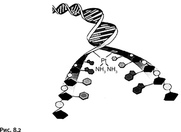 Иллюстрация к книге — Карнавал молекул [i_367.jpg]