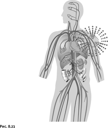 Иллюстрация к книге — Карнавал молекул [i_386.jpg]