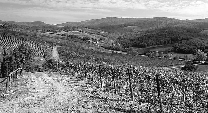 Иллюстрация к книге — Италия. Страна моря и солнца  [i_196.jpg]