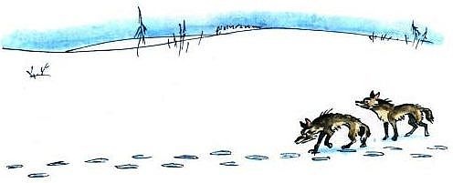 Иллюстрация к книге — Приключения капитана Врунгеля [pict-13.jpg]