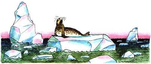 Иллюстрация к книге — Приключения капитана Врунгеля [pict-41.jpg]